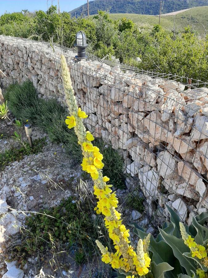 Agallio Nature Resort - Adults Only Agalás المظهر الخارجي الصورة